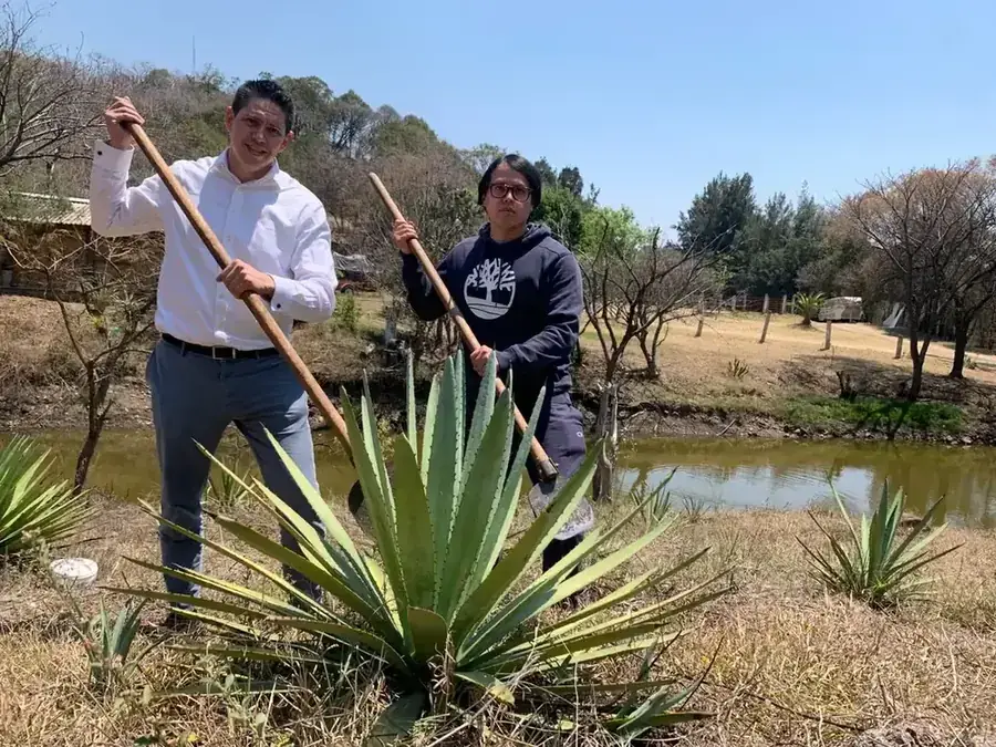 Un homenaje a Santana y Quintina — Tierras de Casa Santa Quinta, Tlatlaya